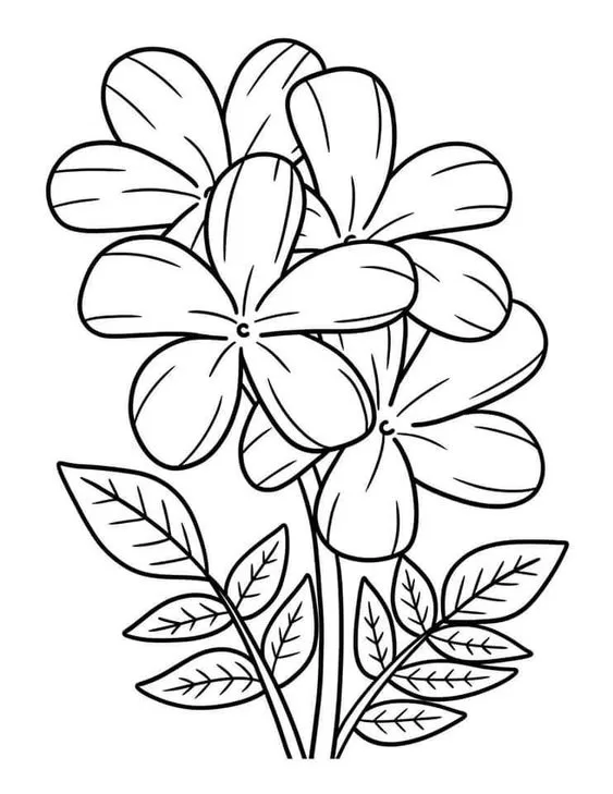 Desenho de pintar flor