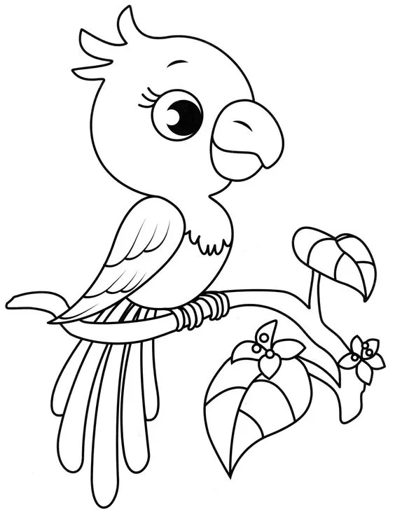 Desenho do papagaio para colorir 